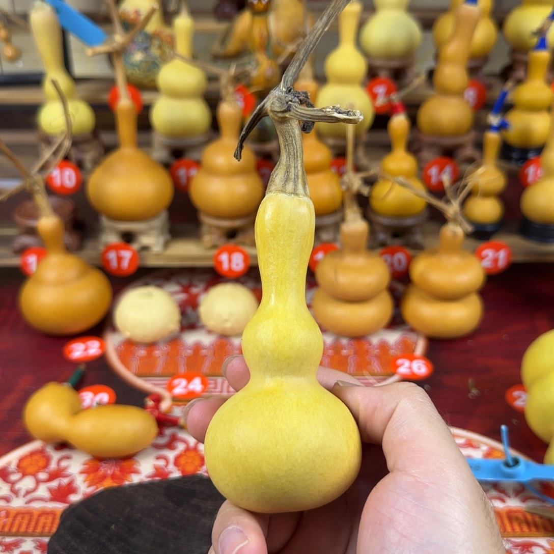 死***！葫芦ucuvcucycyccuuvuvuvvuuv