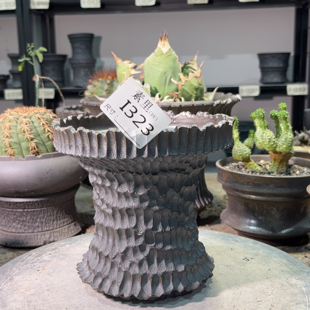 景德镇手工素里内13.5高14