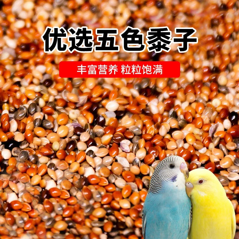 五色黍子虎皮牡丹玄凤中小型鹦鹉食小鸟粮食新鲜特级五色混合黍子