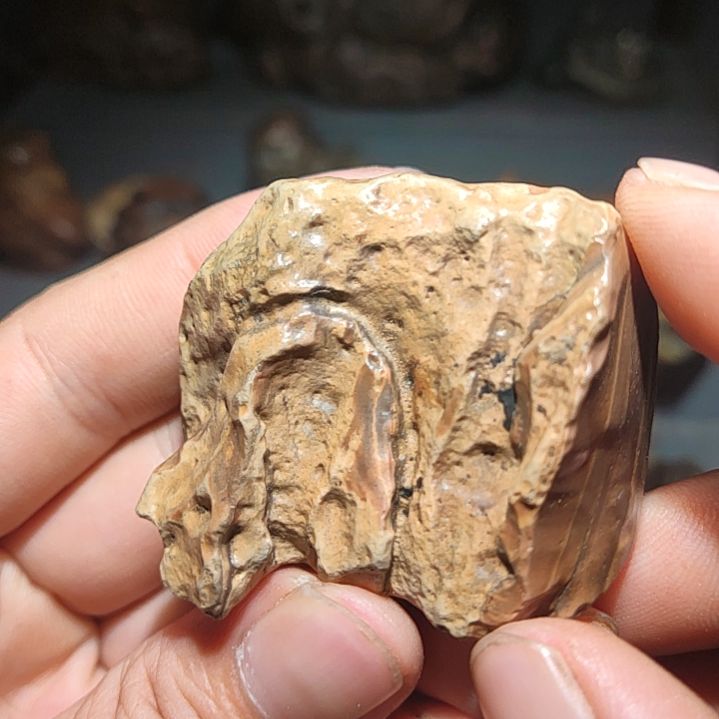 石材阿拉善戈壁石奇石