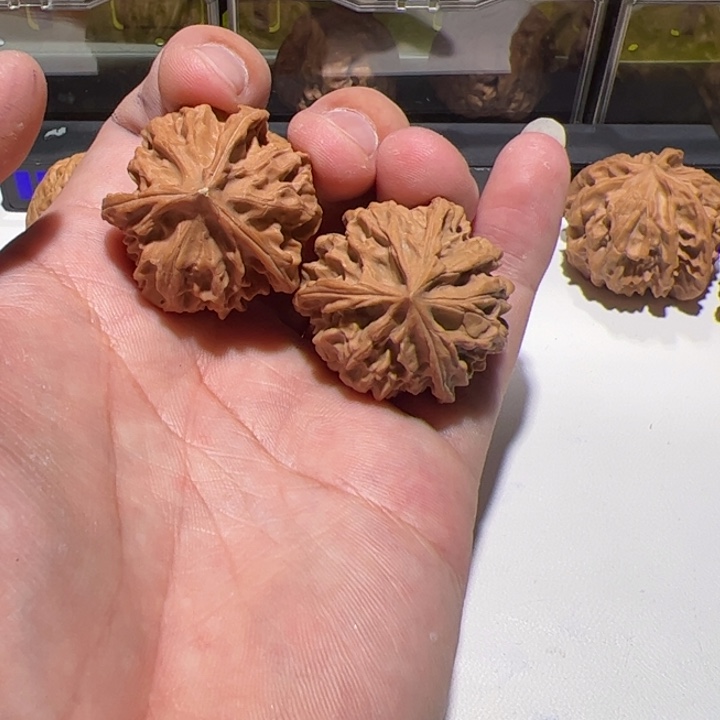 三棱柱香与我同在、不过我们