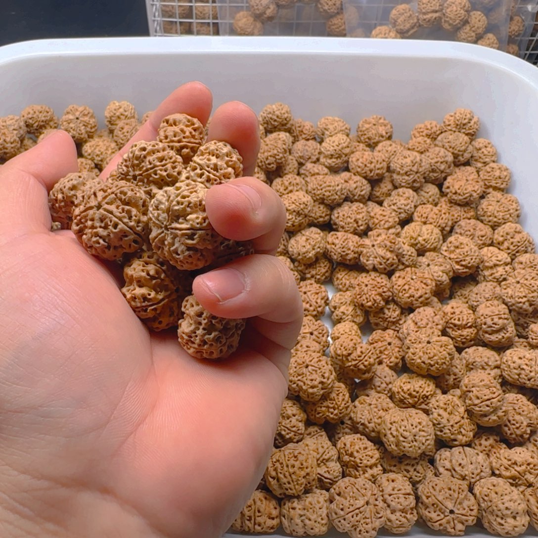 陌***识金刚菩提吊坠定制21尺寸飞碟梅花