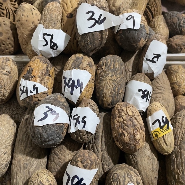 懒***虫千眼菩提刷果老果