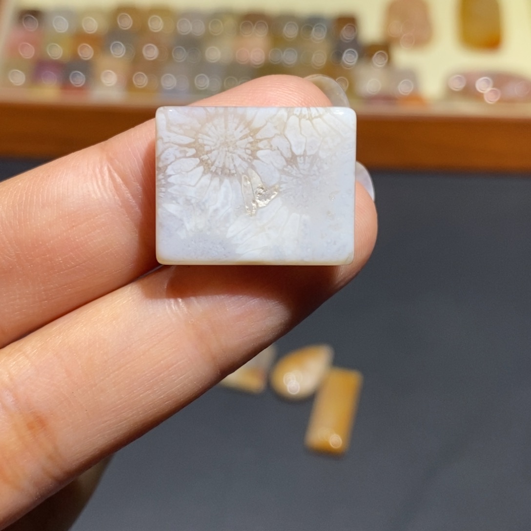 【闪购商品】未镶嵌珊瑚玉硅化玉