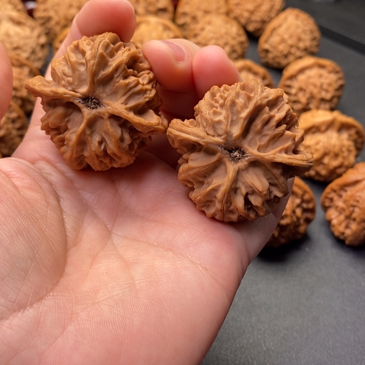 文玩核桃把件41尺蓟县山地苹果园