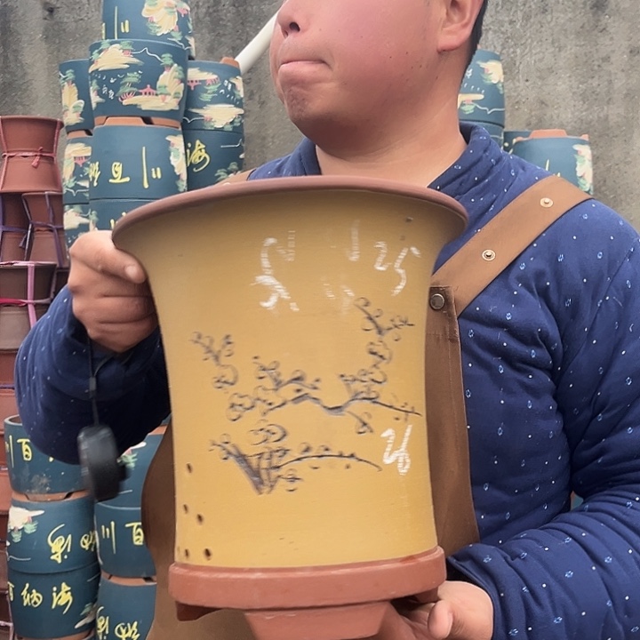 紫砂紫砂花盆盆栽