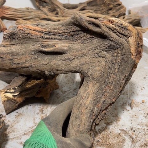 大果紫檀（缅甸花梨）遵**心