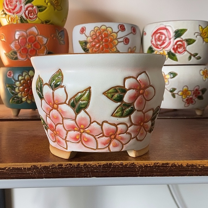 韩式多肉植物花盆