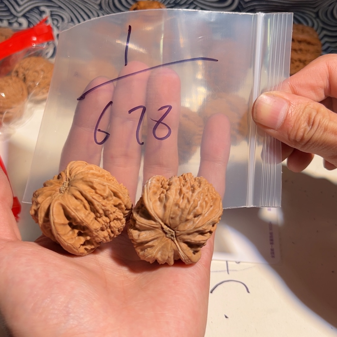 ****人手串/手链核桃678