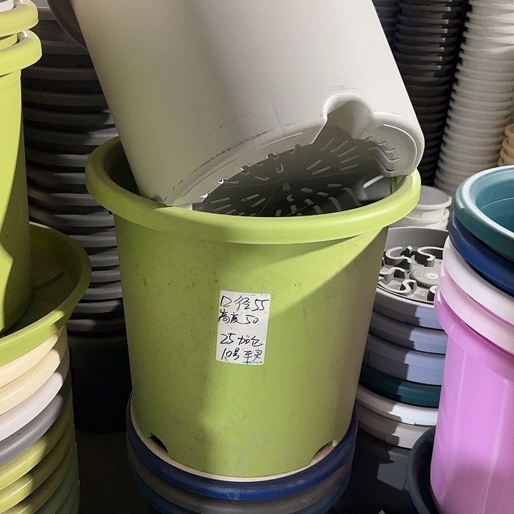 微瑕55口径无托果绿2个