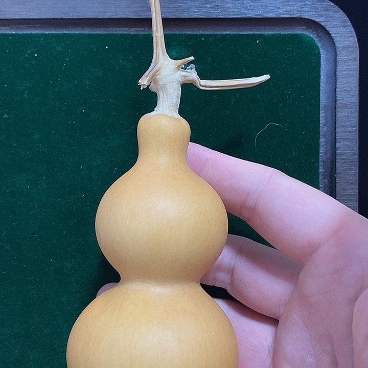 葫芦葫芦葫芦葫芦