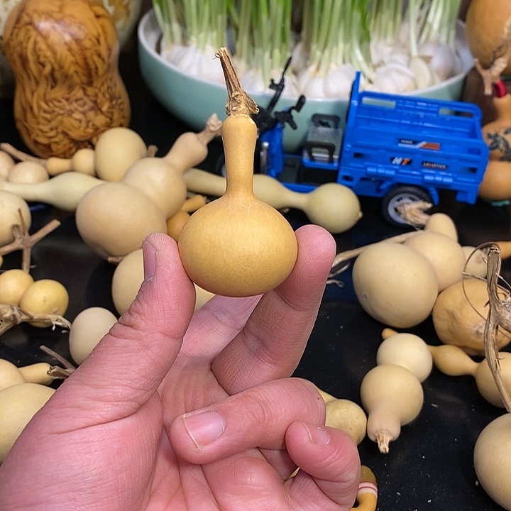 放*精品葫芦手把葫芦109