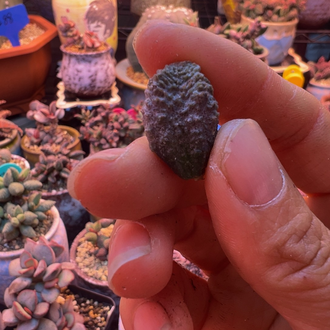简***单好的好吧好吧我的宝我