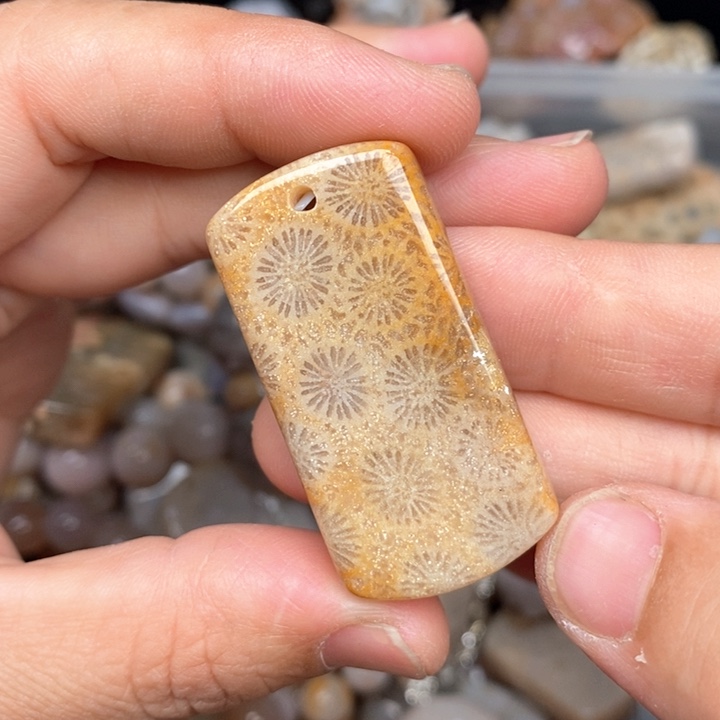 硅化珊瑚（珊瑚玉）手镯未镶嵌