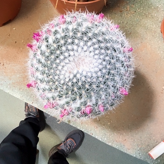 秋***~玉翁谢谢谢谢谢谢