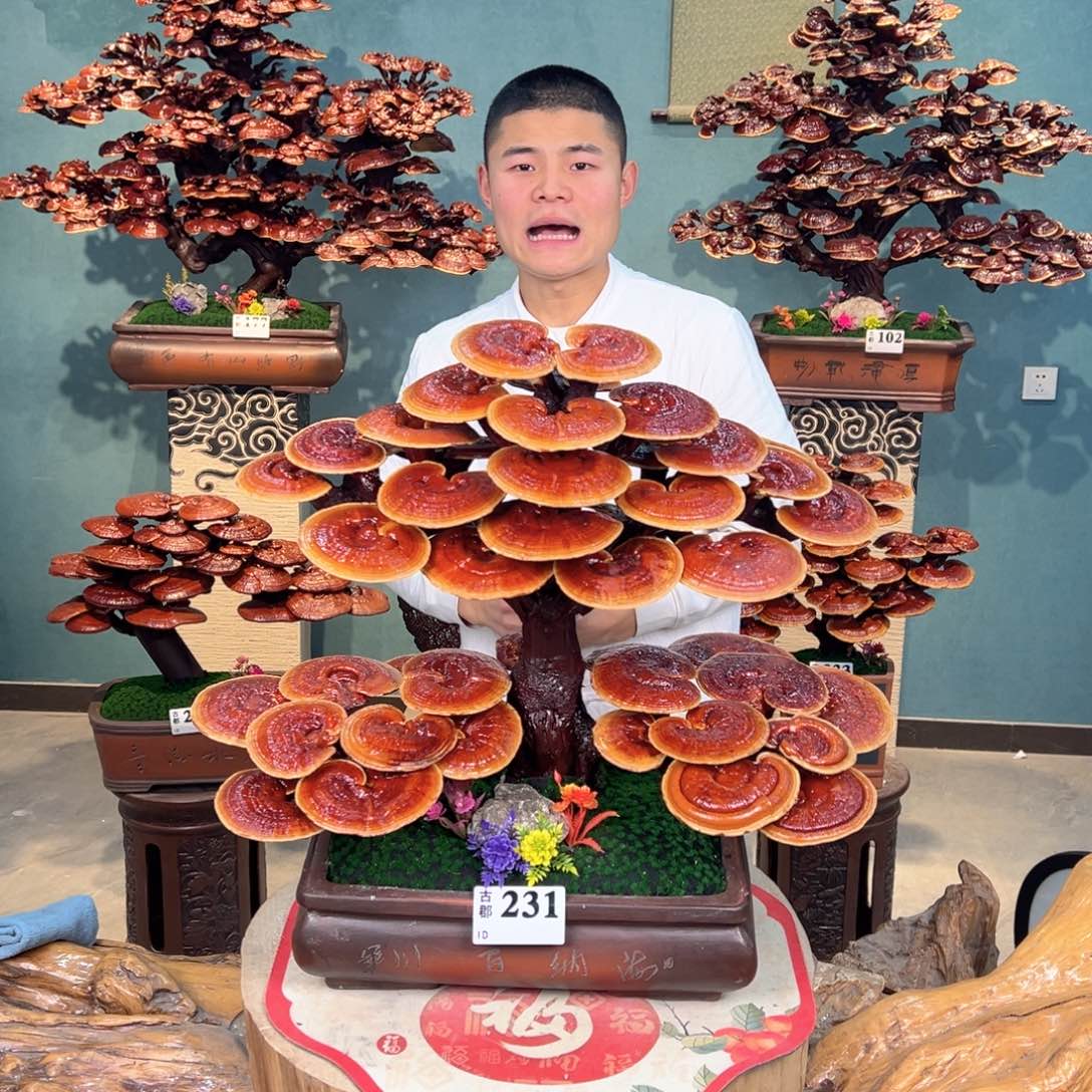 无花朵88888888888