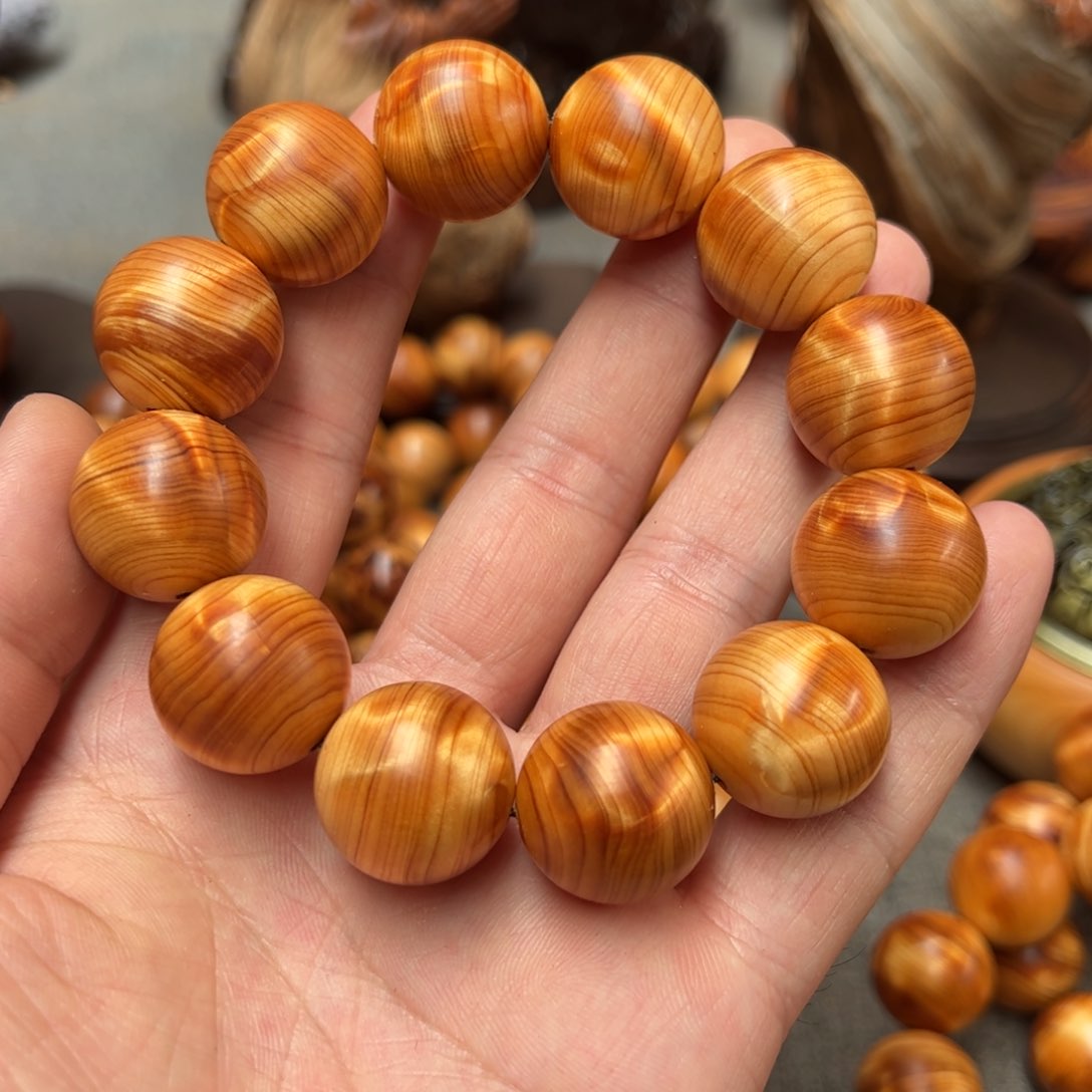 柏木（崖柏）走****站北太行陈化崖柏