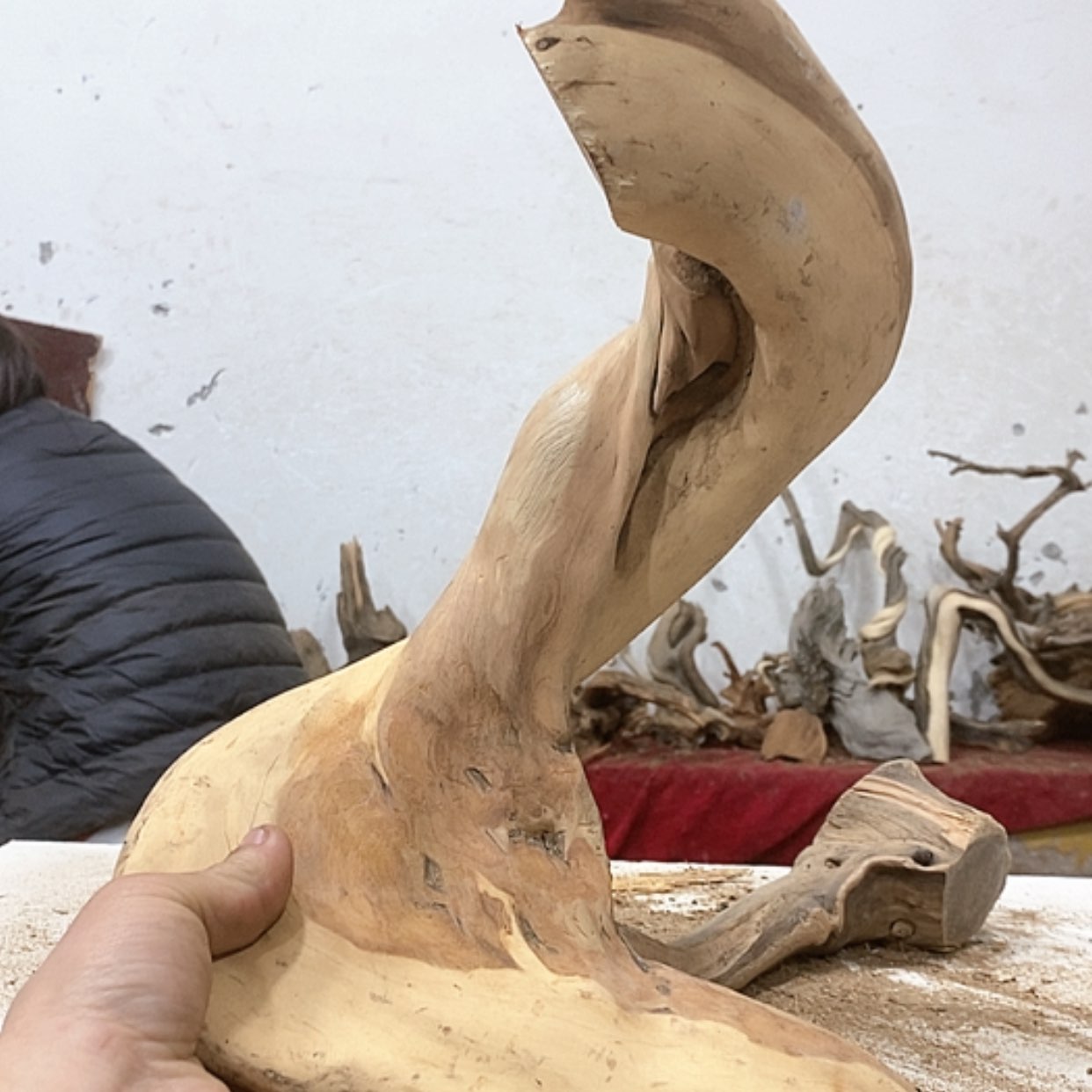 【闪购商品】柏木飞*我们都是好孩子