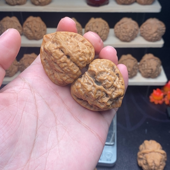 核桃42三角箭毒毕业蛙王