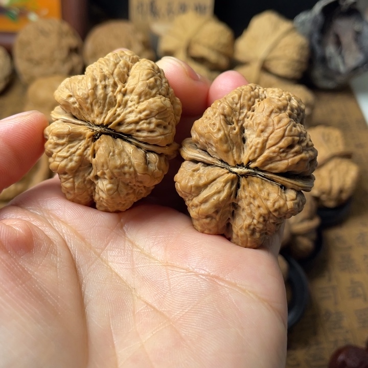 在***边云南野生铁核桃编号75