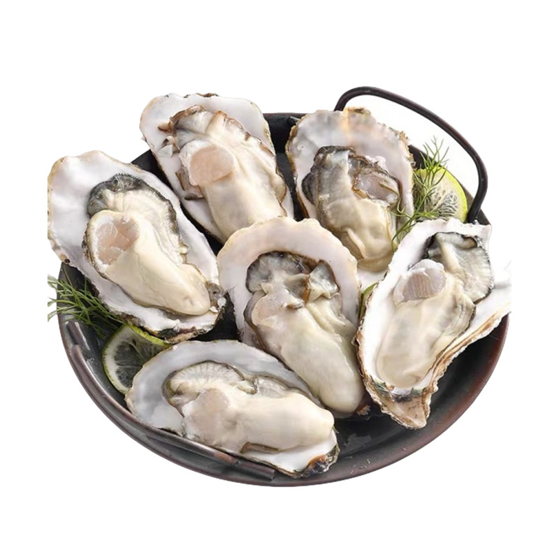 乳山生蚝 1个