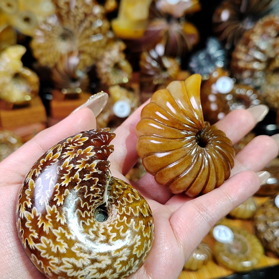 大***佑5846844364762849菊