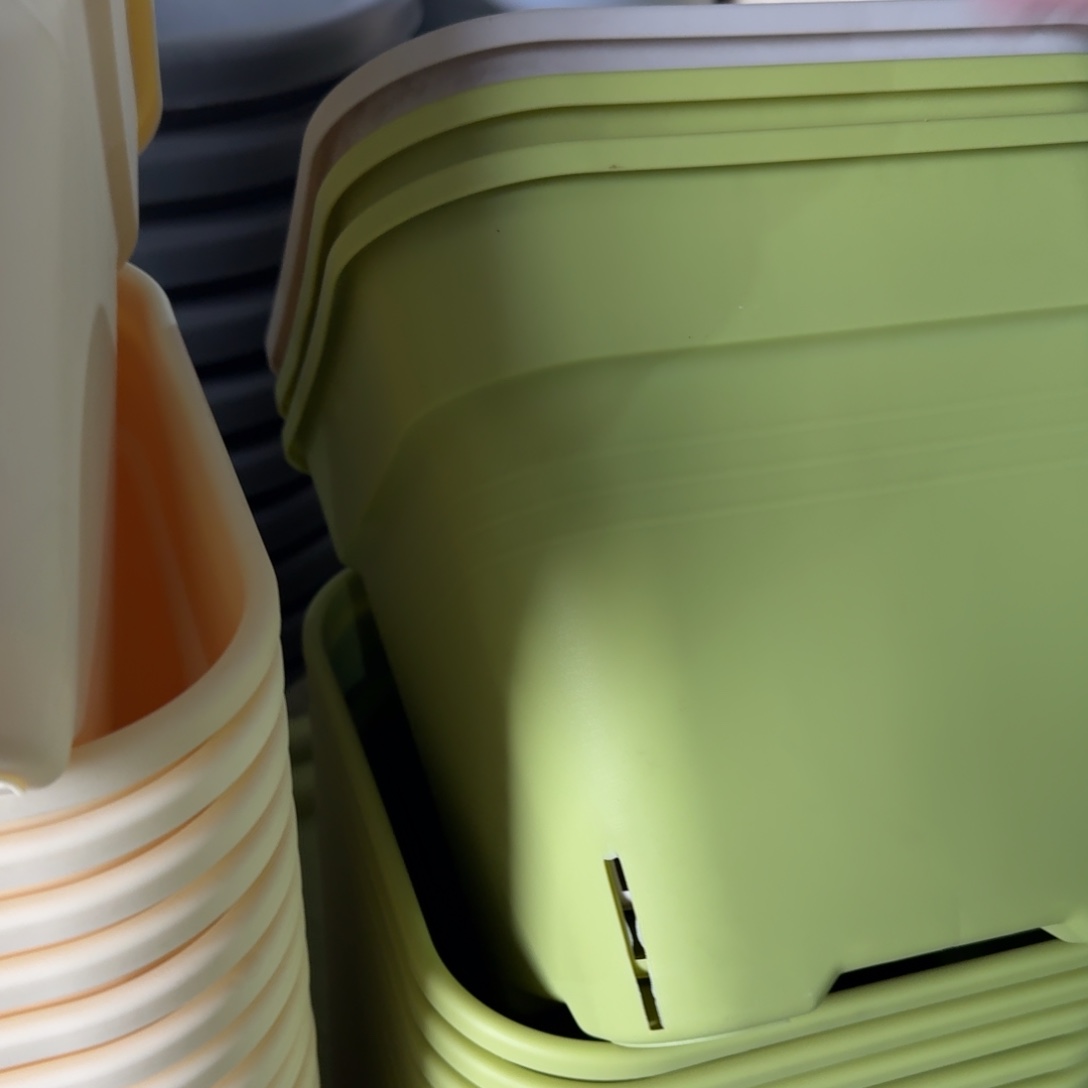 新款方盆口径25无拖果绿5个