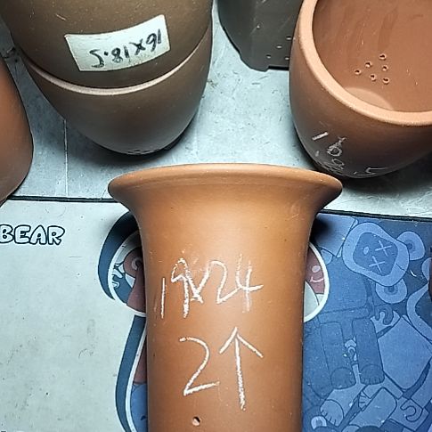 大红兰花两个花盆