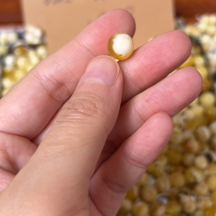 蜜蜡未镶嵌裸石9.8mm一个