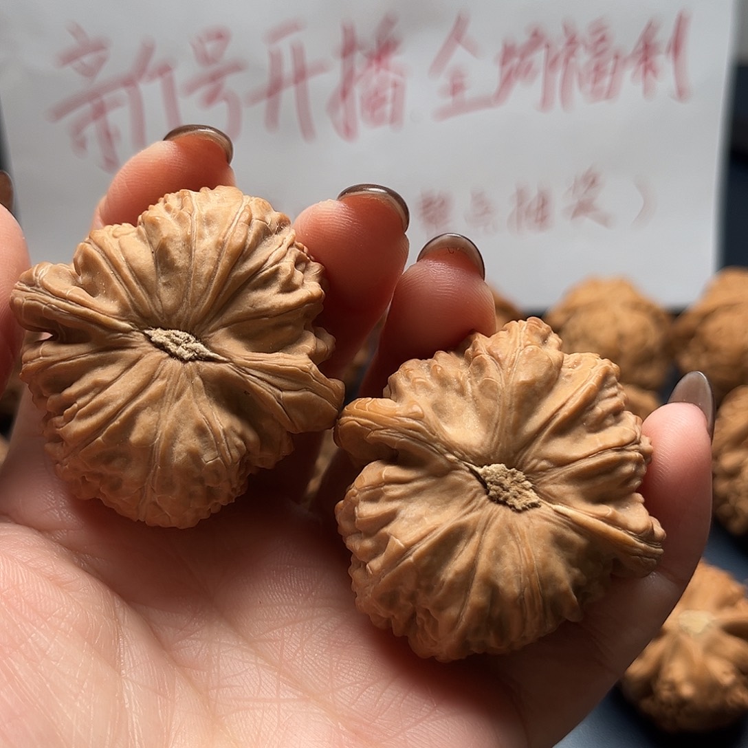 吴****核桃42尺寸白狮子