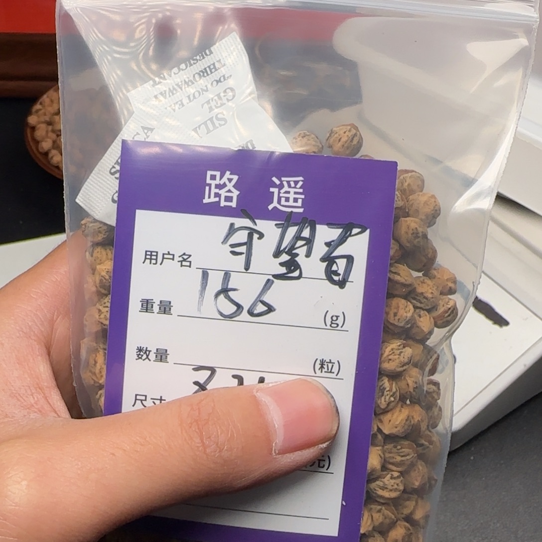 守***者吊坠柏香籽/百香籽