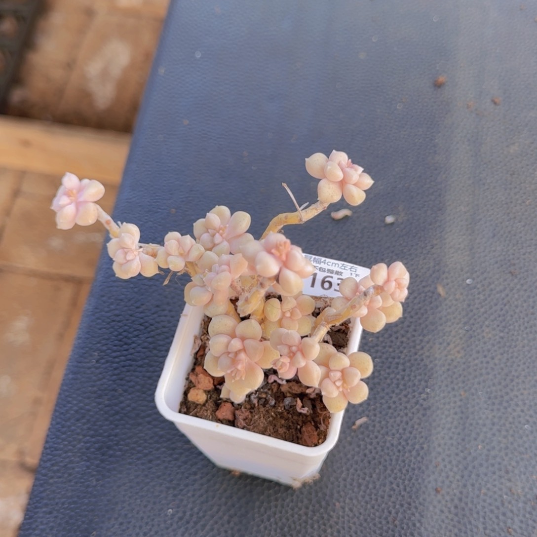 全场满28包邮零下拍保温