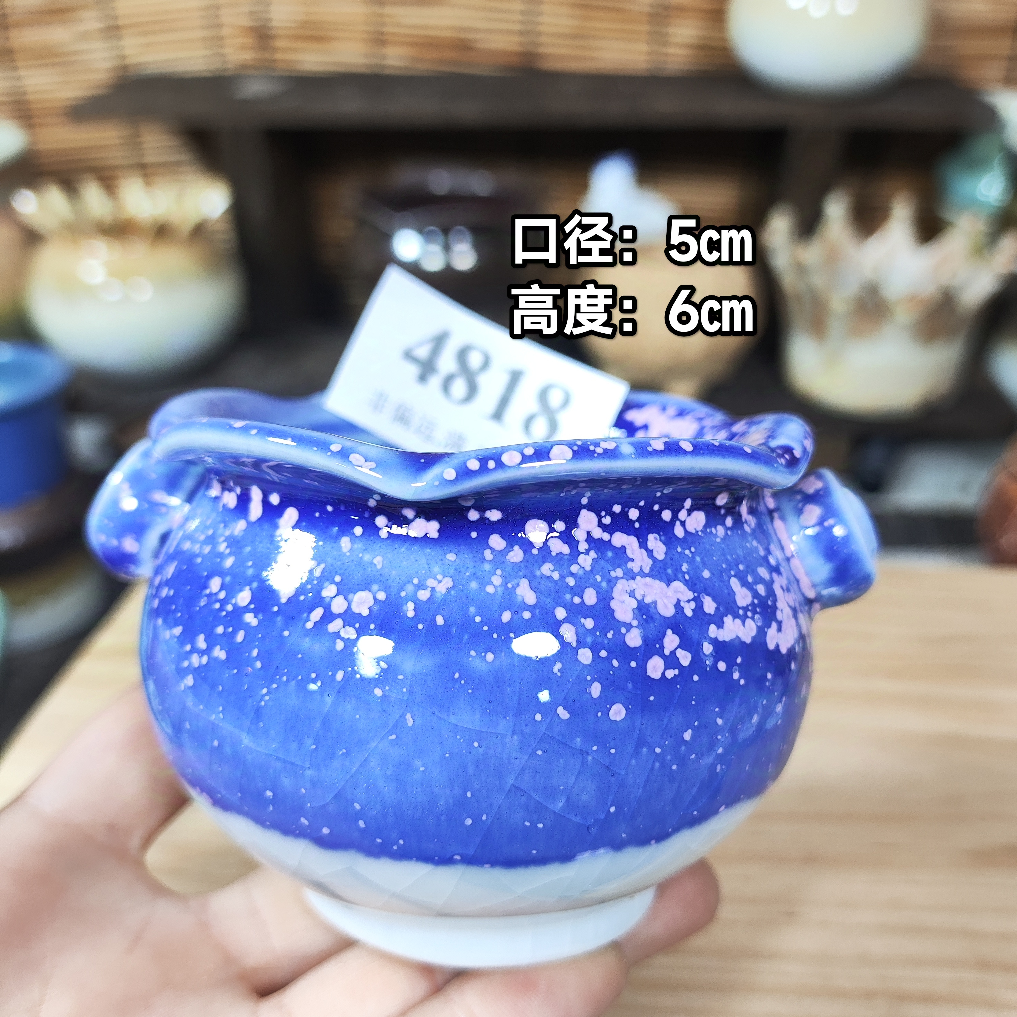 手工创意多肉花盆摆件迷你多肉花盆景德镇纯手工制做