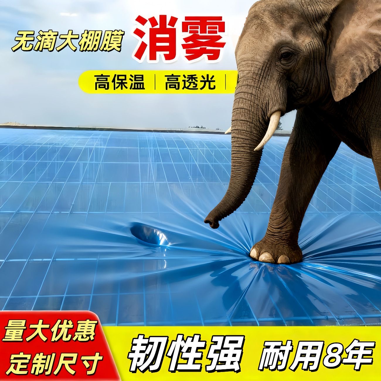 无滴膜消雾大棚塑料透明加厚农用养殖蔬菜高透光