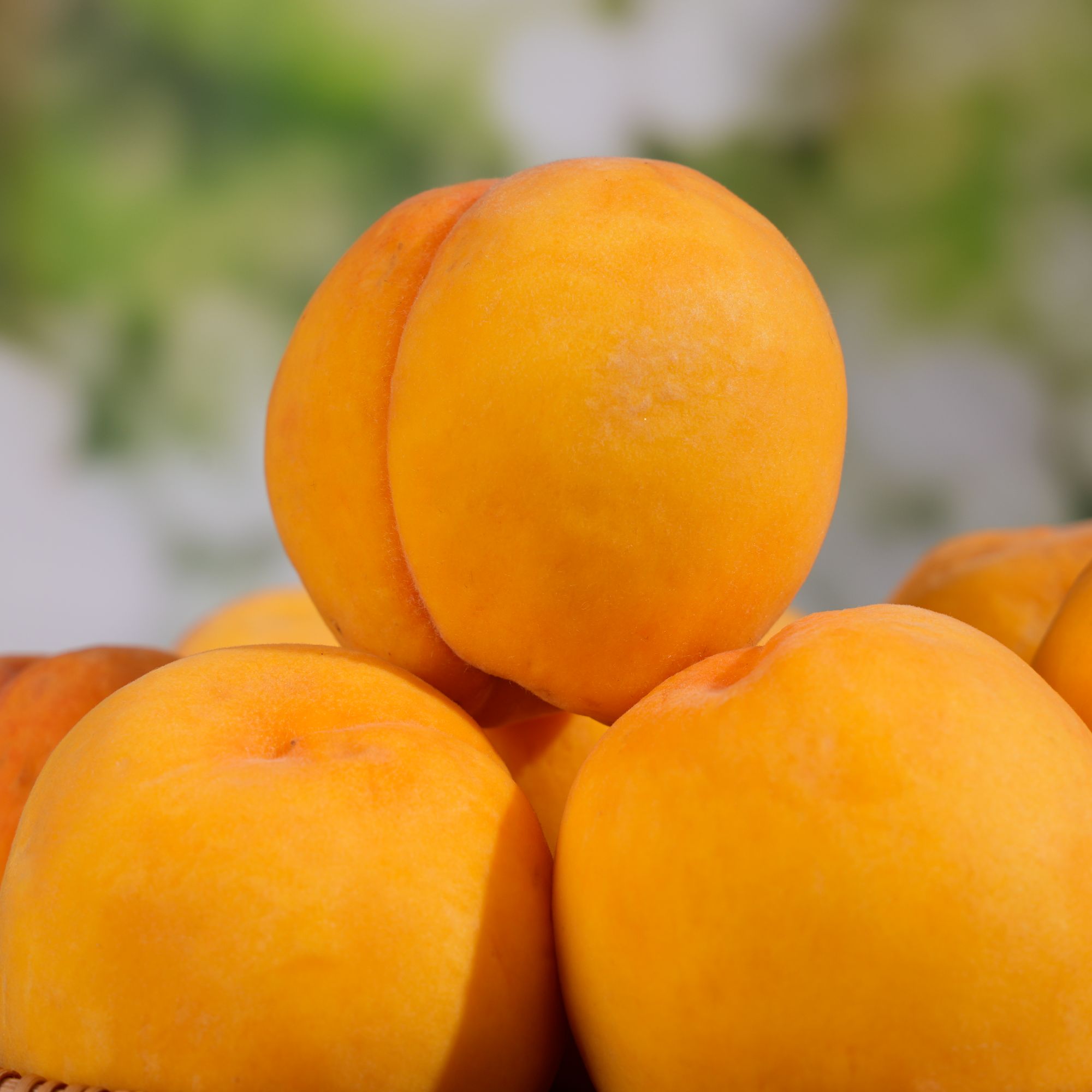 【今天拍，明天到】正宗黄金蜜黄桃新鲜水果2-4.5斤当季新鲜水果桃子安徽省