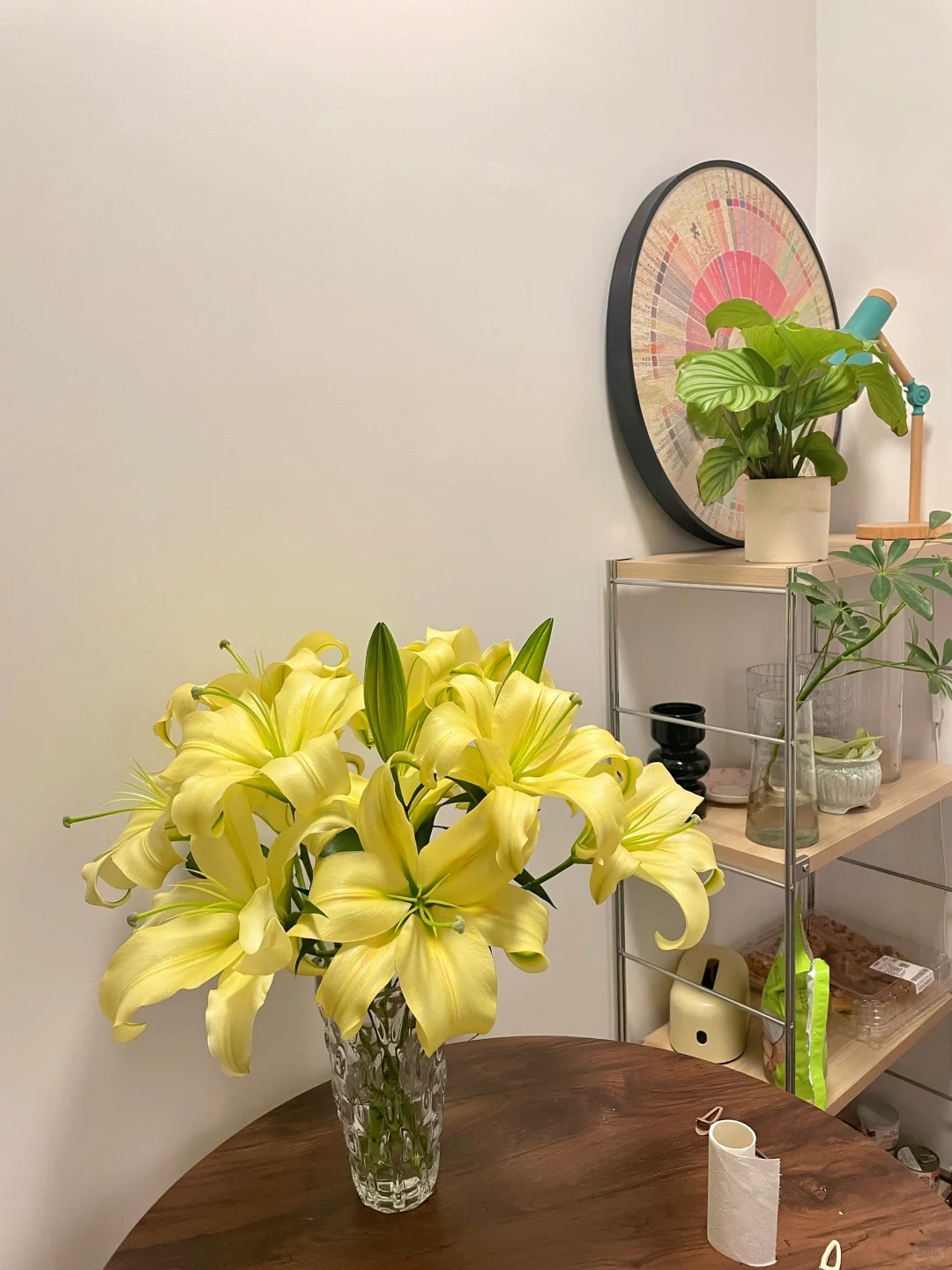 (云南鲜花百合基地）皇帝香水百合4枝保2头，2单升级冷链包邮。