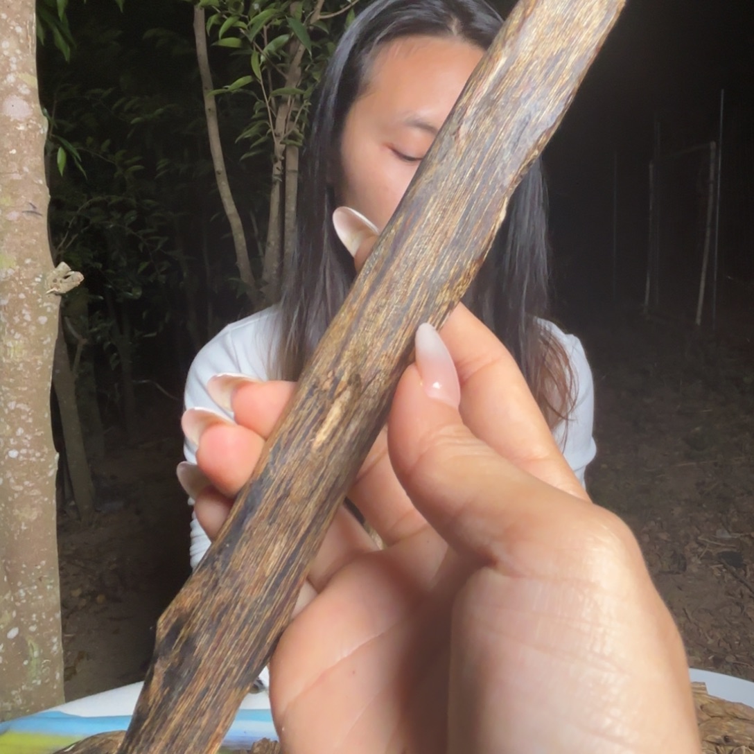 虫漏 熏香品香 实心料