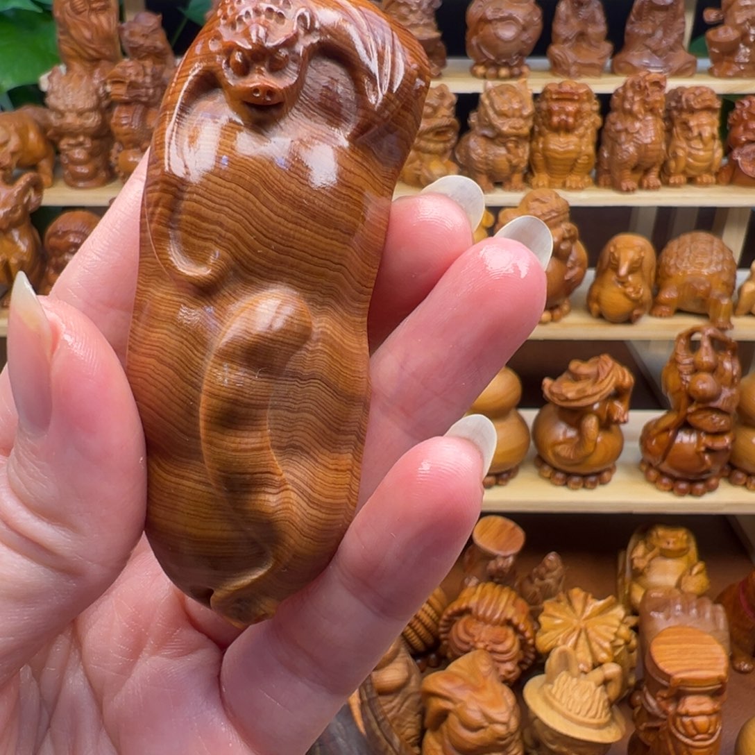 ****儿崖柏太行崖柏四季豆