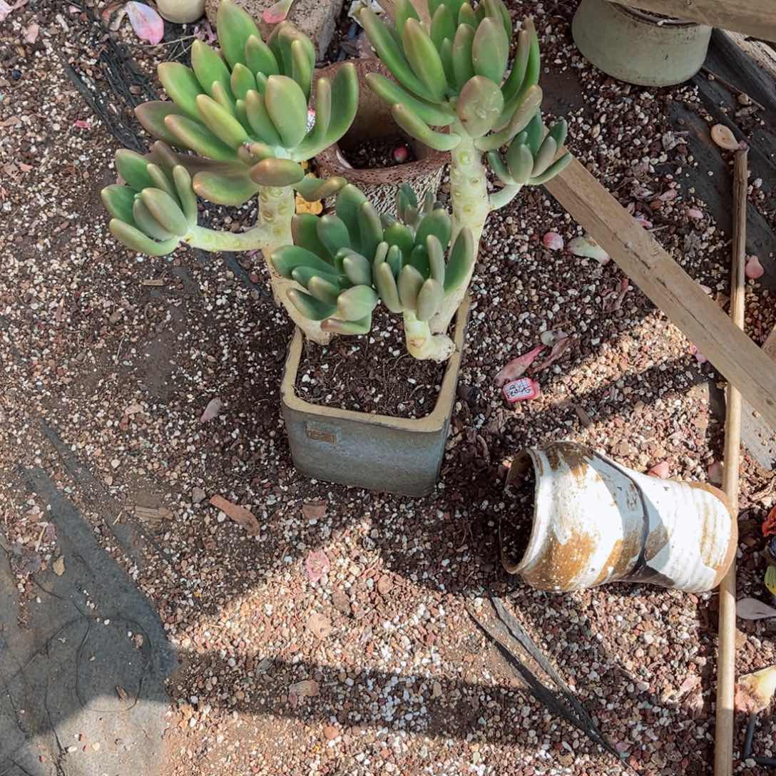 你是否还记得你曾经说