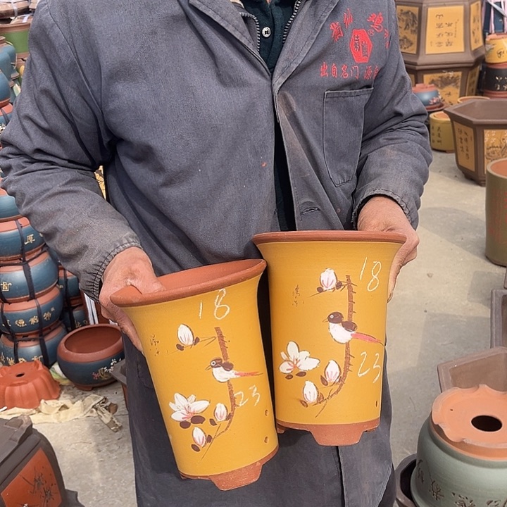 紫砂紫砂花盆和一条