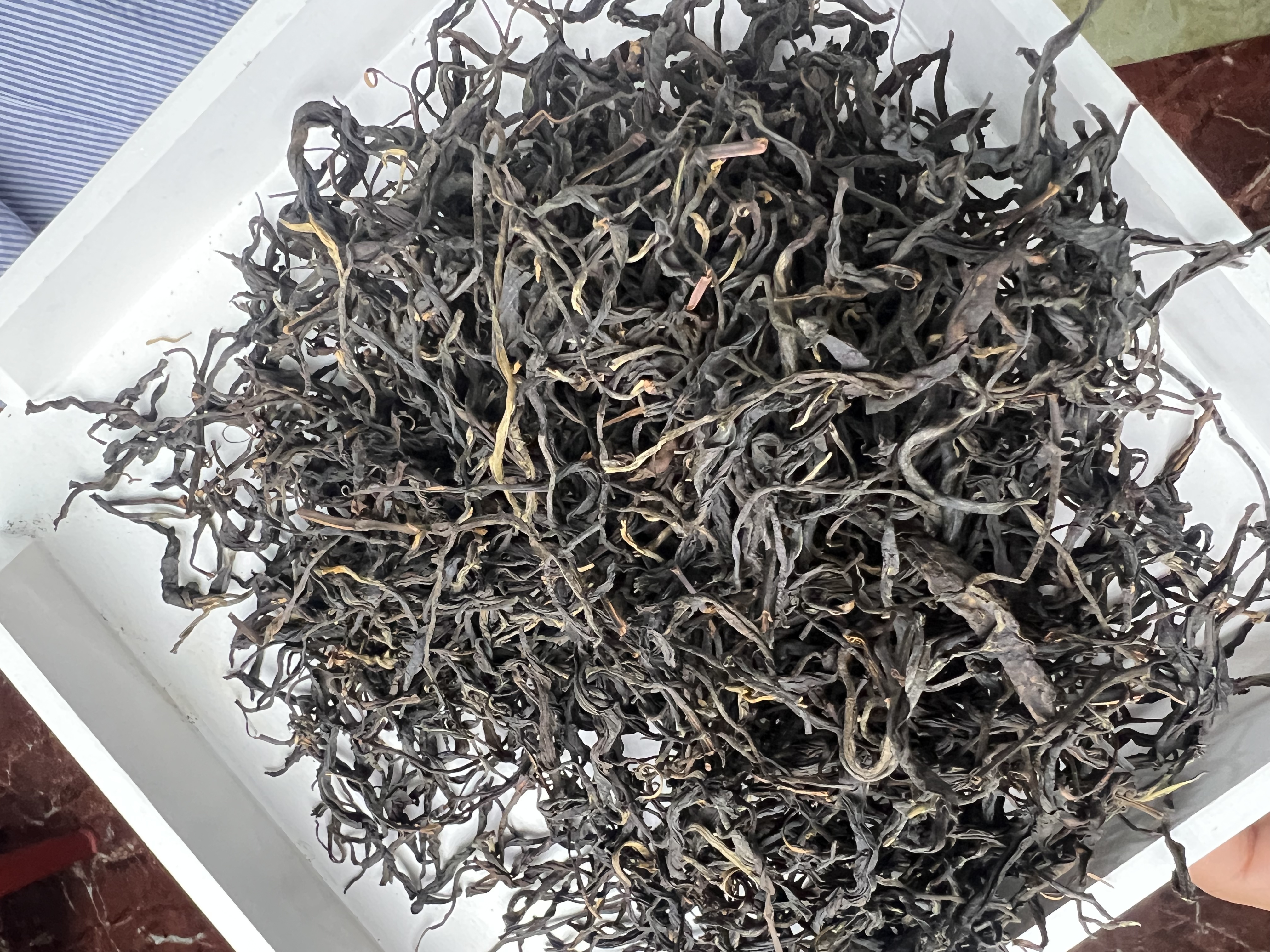 【A803】墨江 金厂梁子2025年 古树 春 晒红茶  散料 10月14日