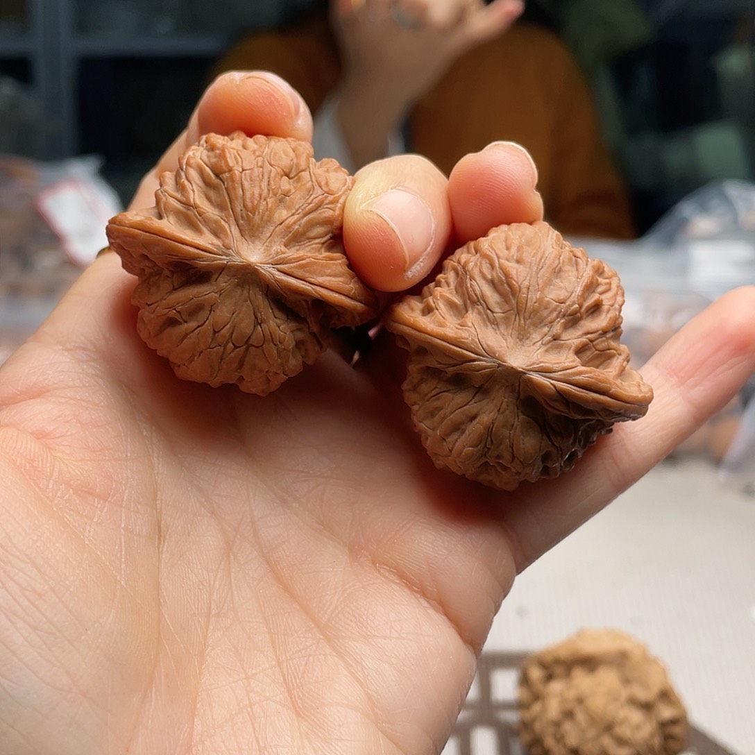 持*元宝你要回来我好高兴