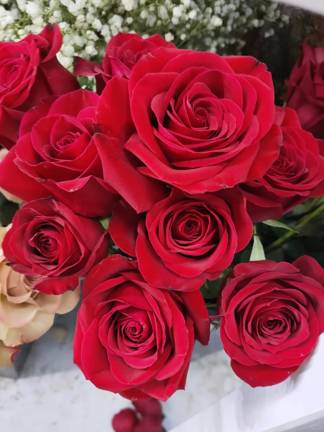 【源头优选】单头玫瑰-自由-任意2单鲜花包邮 发货后不支持退款