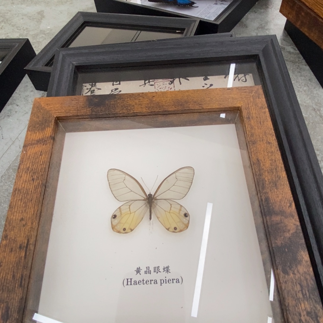 铝合金双层款蝴蝶相框