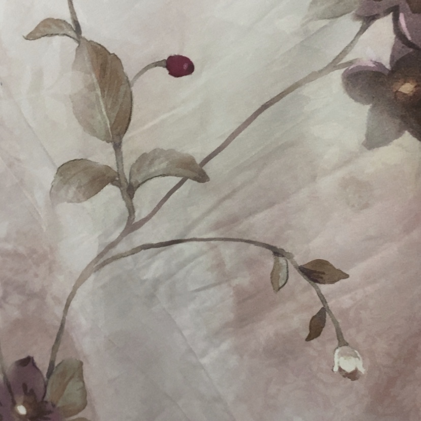 【闪购商品】4.6米015号