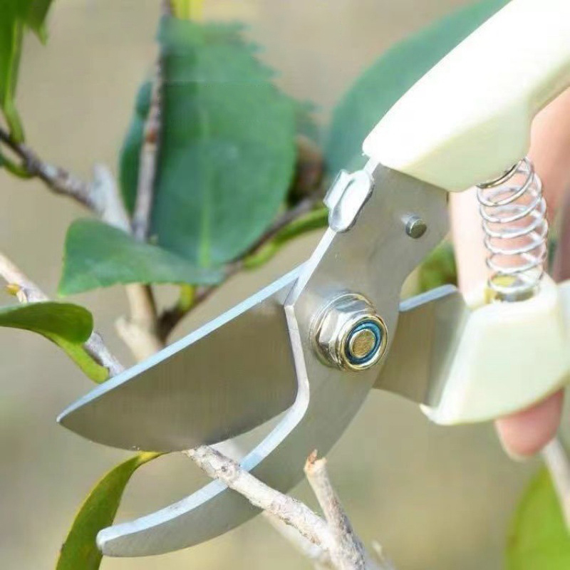 剪枝果树修枝剪刀园艺园林修花枝剪力树枝剪子花剪剪枝剪刀D