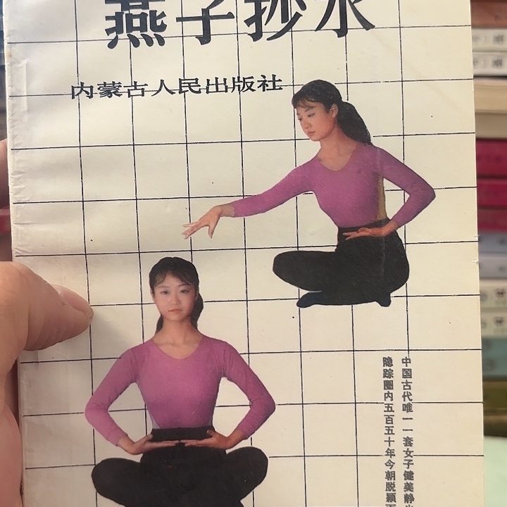 燕子抄水，二手书籍