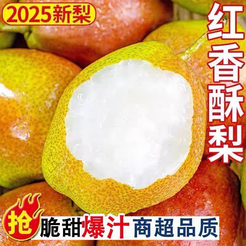 新鲜脆甜山西红香酥梨多汁皮薄爽口当季应季水果老人小孩孕妇水果