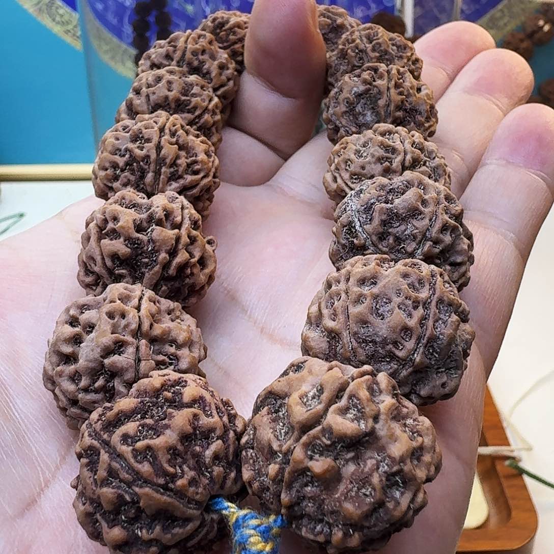 金刚菩提手串双龙