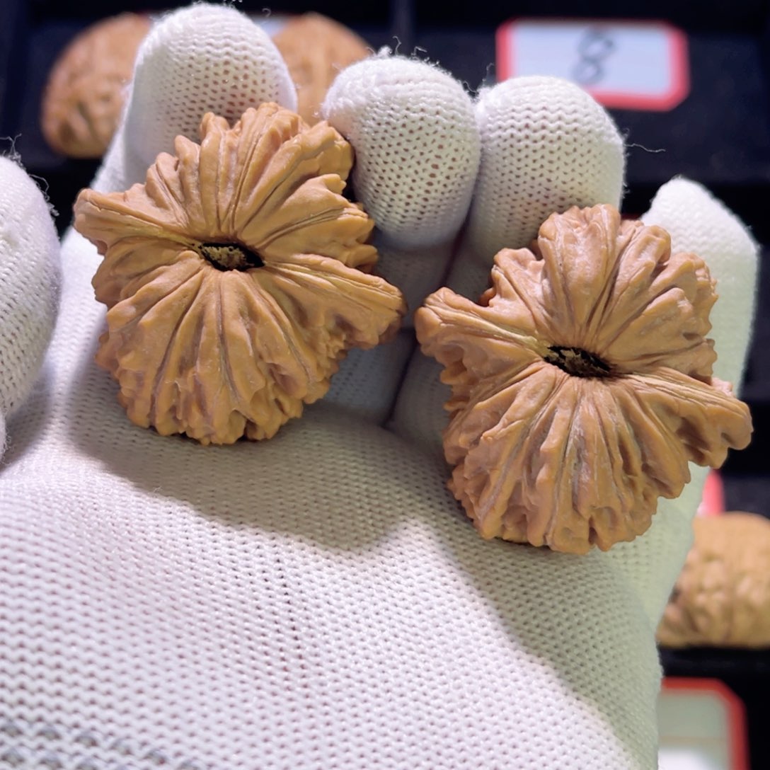 乐*@秦皇岛山地果全品